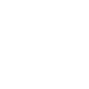 わたしの愛をカタチにする共済